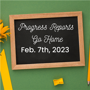progress reports
